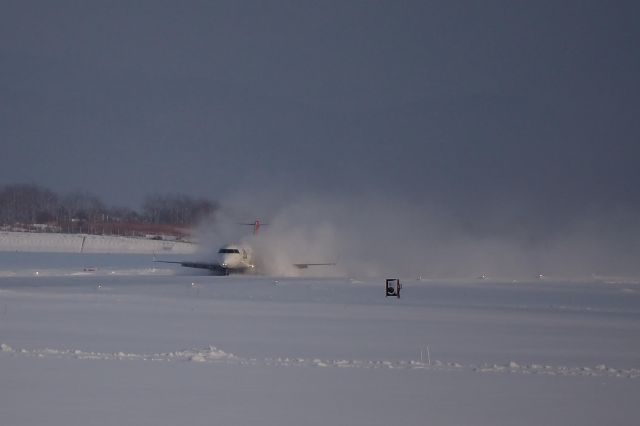 Canadair Regional Jet CRJ-200 (JA207J)