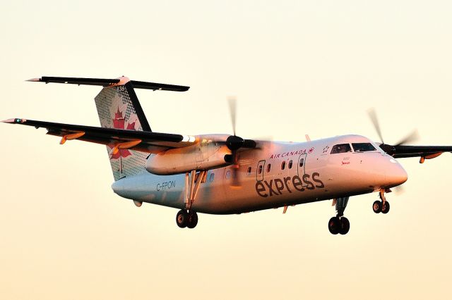 de Havilland Dash 8-100 (C-FPON) - Arriving from YQB/CYQB when the sun was already very low in the western sky.