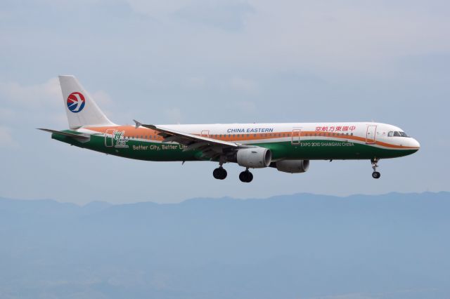Airbus A321 (B-2290)
