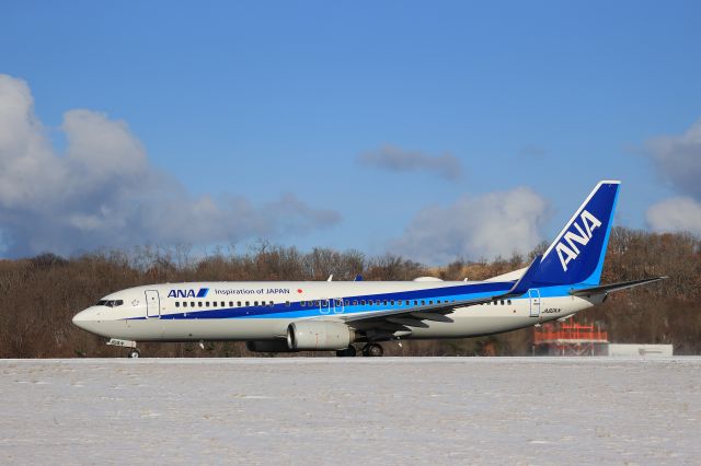 Boeing 737-800 (JA82AN) - December 26th 2021:HKD-ITM.