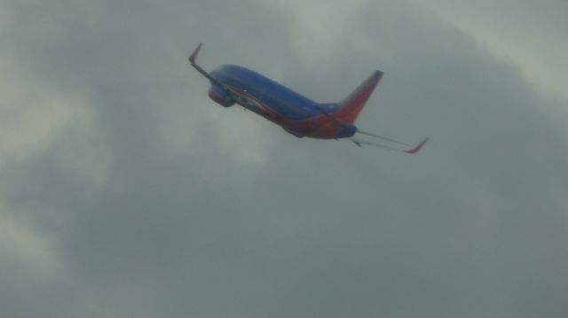 Boeing 737-800 —