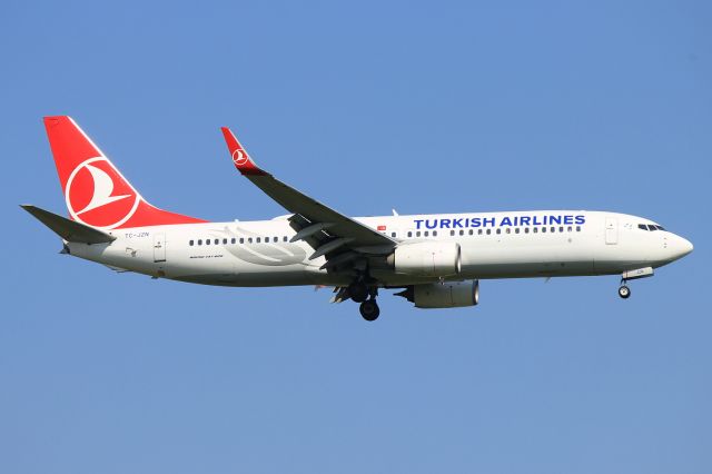 Boeing 737-800 (TC-JZN)