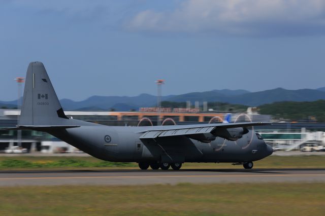 Lockheed C-130 Hercules (13-0603) - Canadian Armed Forces /　Lockheed C-130 Hercules(130-603)br /20.JUNE.2015 HAKODATE