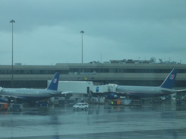 Airbus A319 (N830UA) - Two United Airlines Airbus A319s at the gate in preparation for departure.