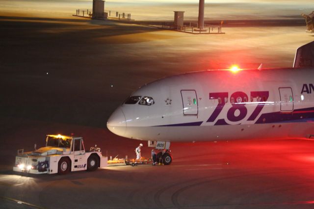 Boeing 787-8 (JA805A)